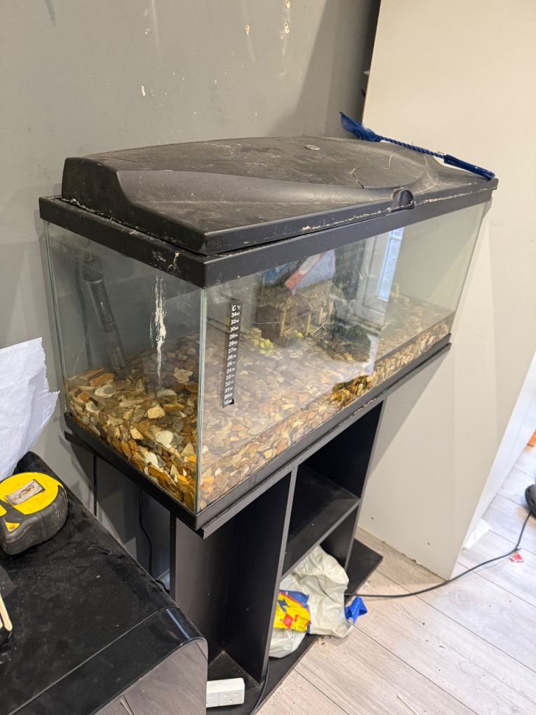 Fish tank and stand 