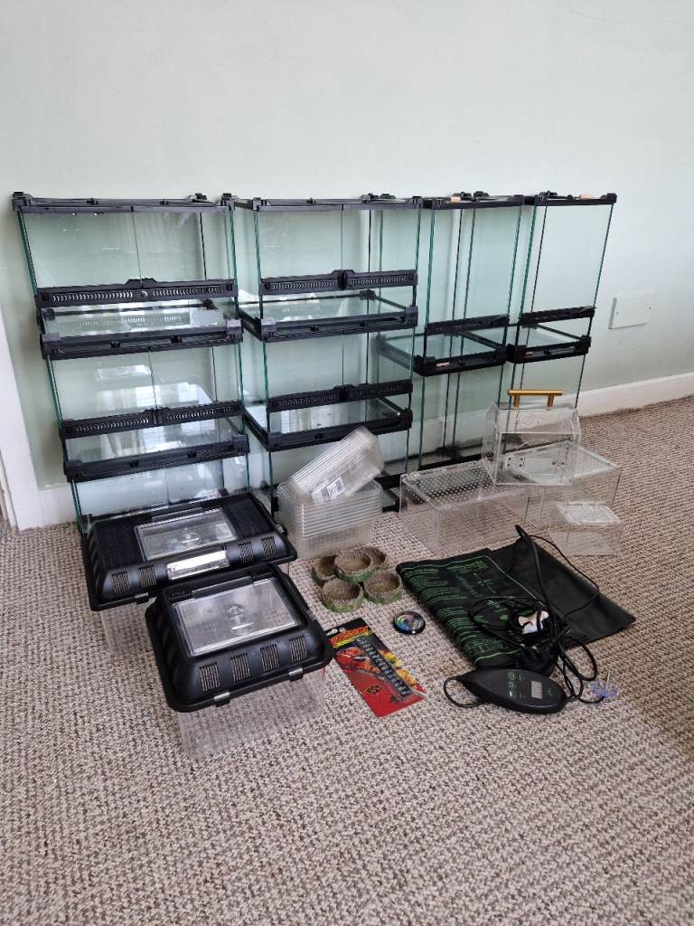 Bulk lot glass enclosures 16 tanks tarantulas inverts reptiles + extras