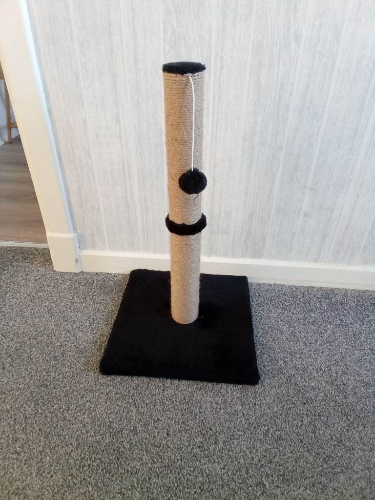 Cats scratching post 