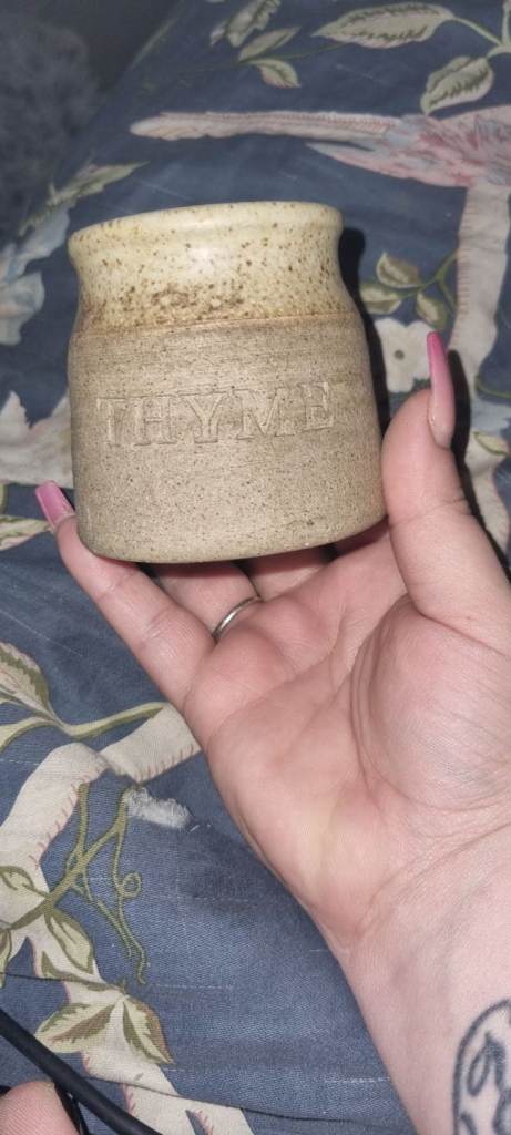 Small thyme pot