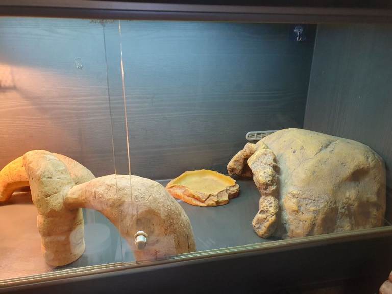 4×2×2 Vivarium full set up 