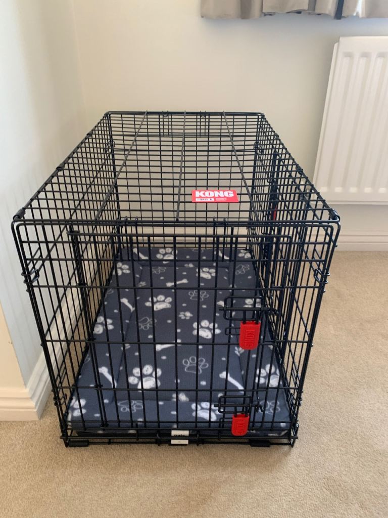 Medium Kong Dog Crate & Mattress