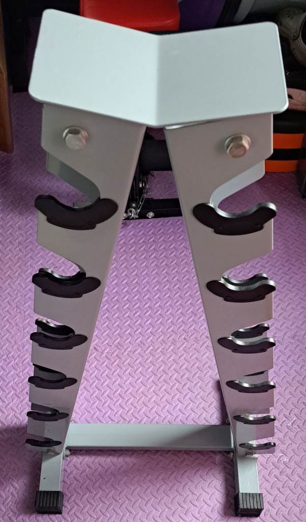 Dumbell/weight plate stand 