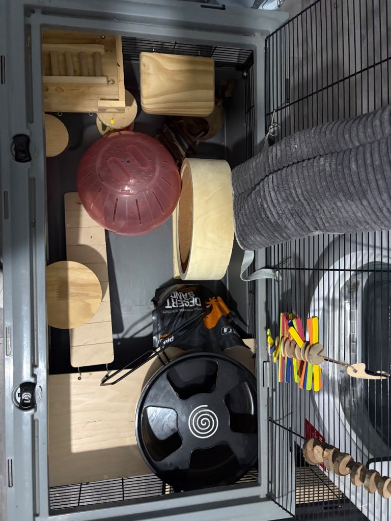 XL hamster cage with accessories 
