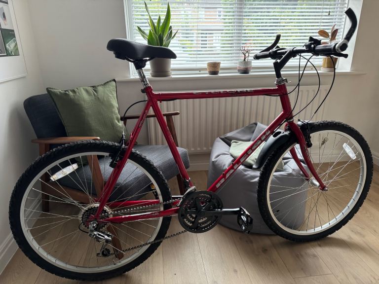 Raleigh Cyclone Mountain Bike 23"