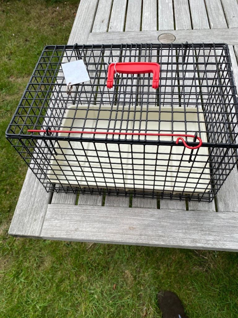 Metal cat carrier