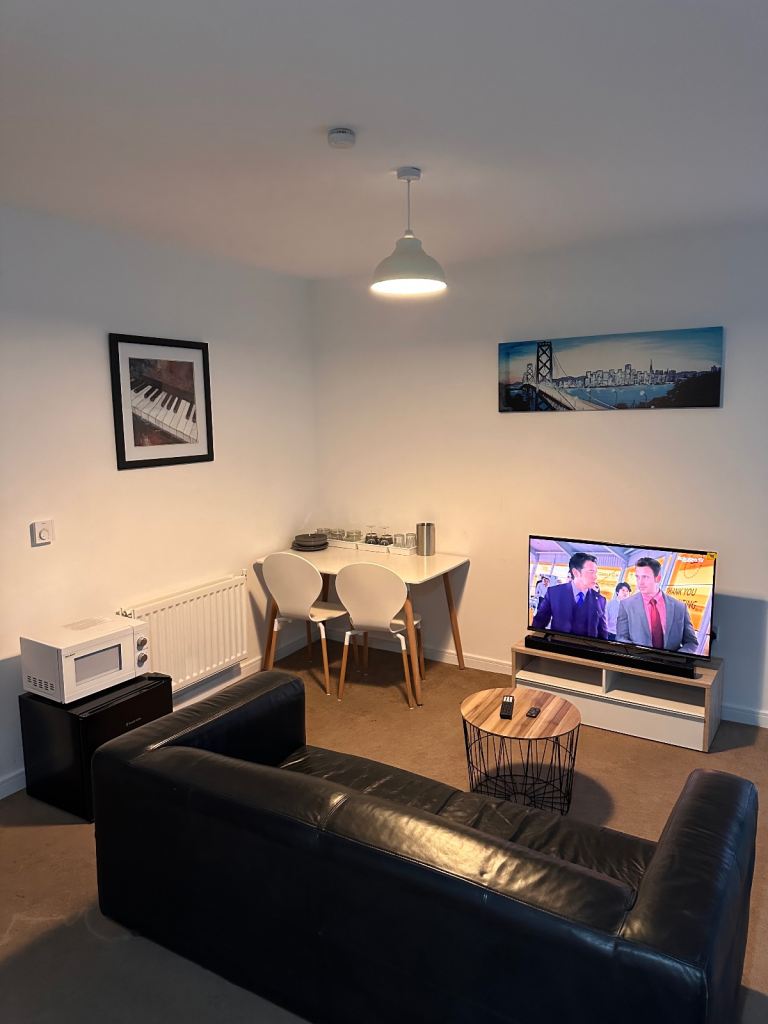 A Stunning Studio Apartment for Professional