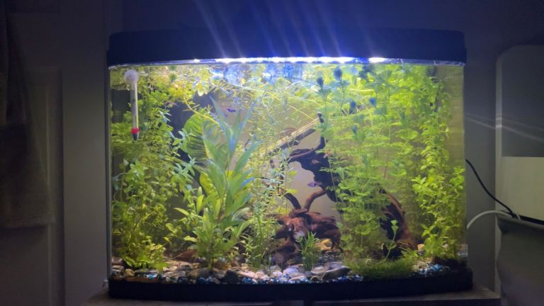 Large Fish Tank RETAILS AT £159