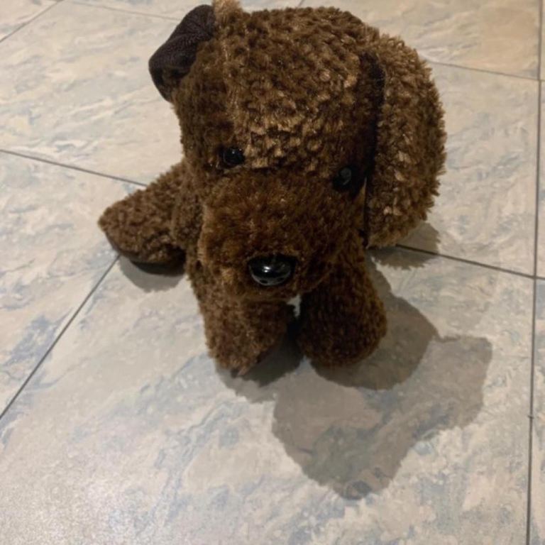 Keel toys brown dog teddy