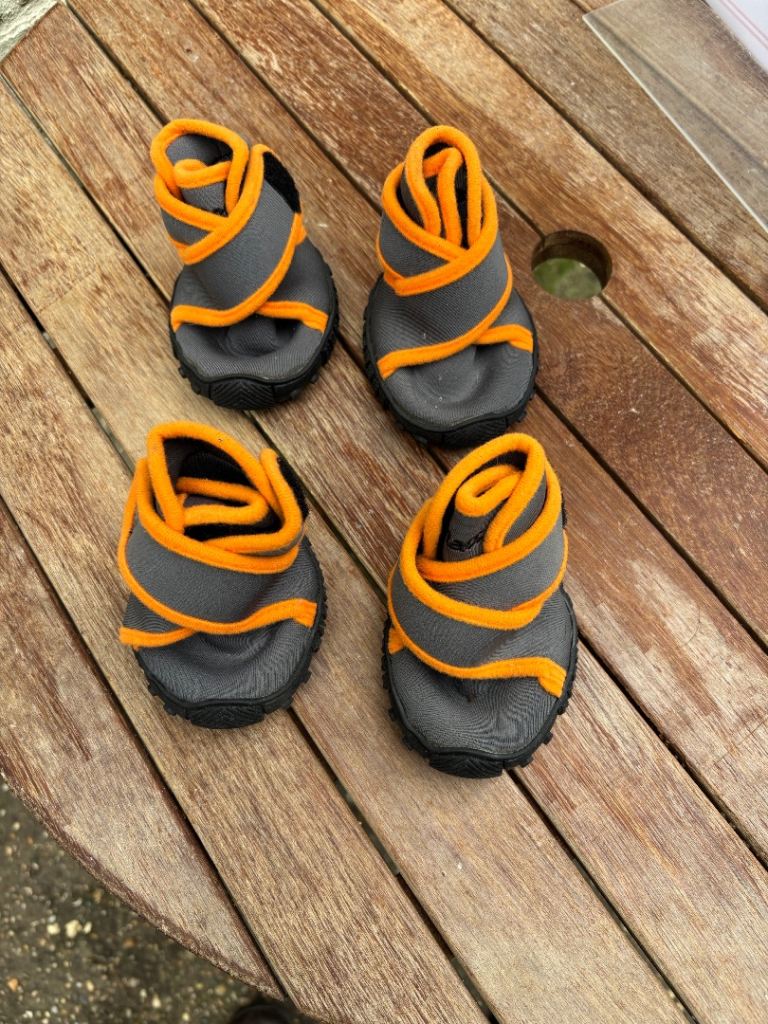 Dog Shoes/Boots