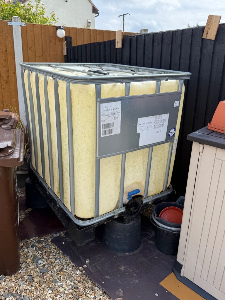 Ibc free to collect 