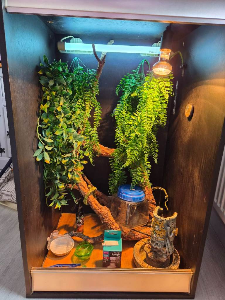 Large Wooden Vivarium with Accessories and Lighting