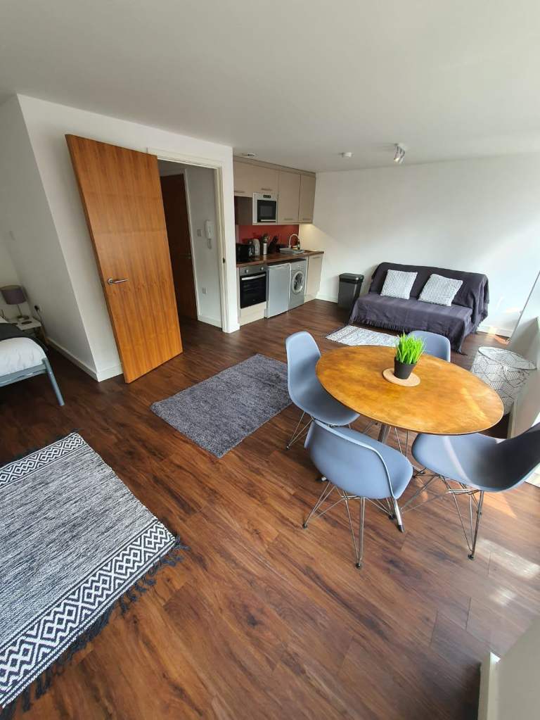 Luxurious large modern studio room available to let to STUDENTS and PROFESSIONAL