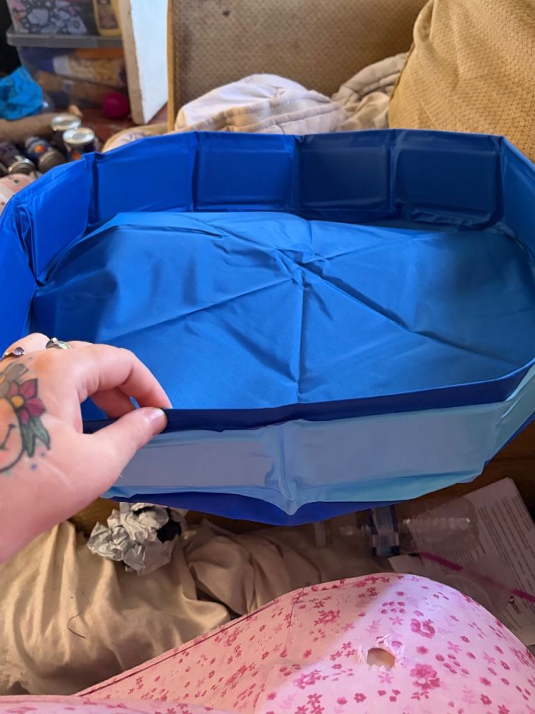 Small pet bath