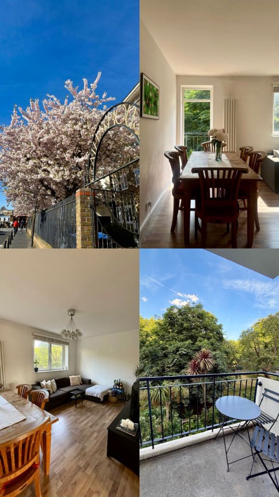 Bright room on the Thames - available in Aug-Sept