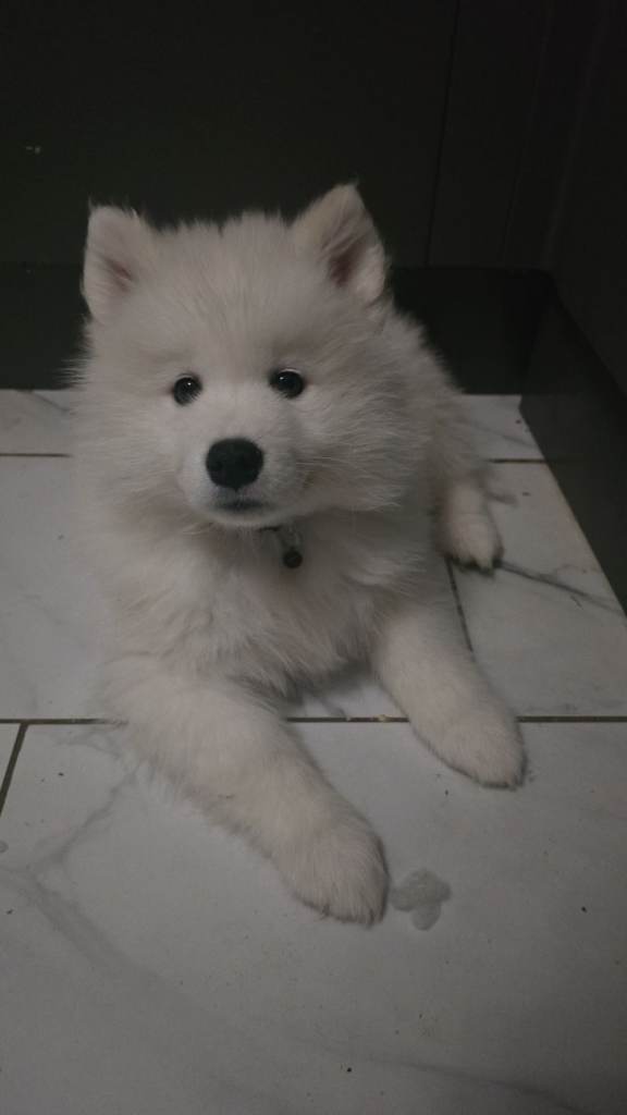 2 beautiful girls left 