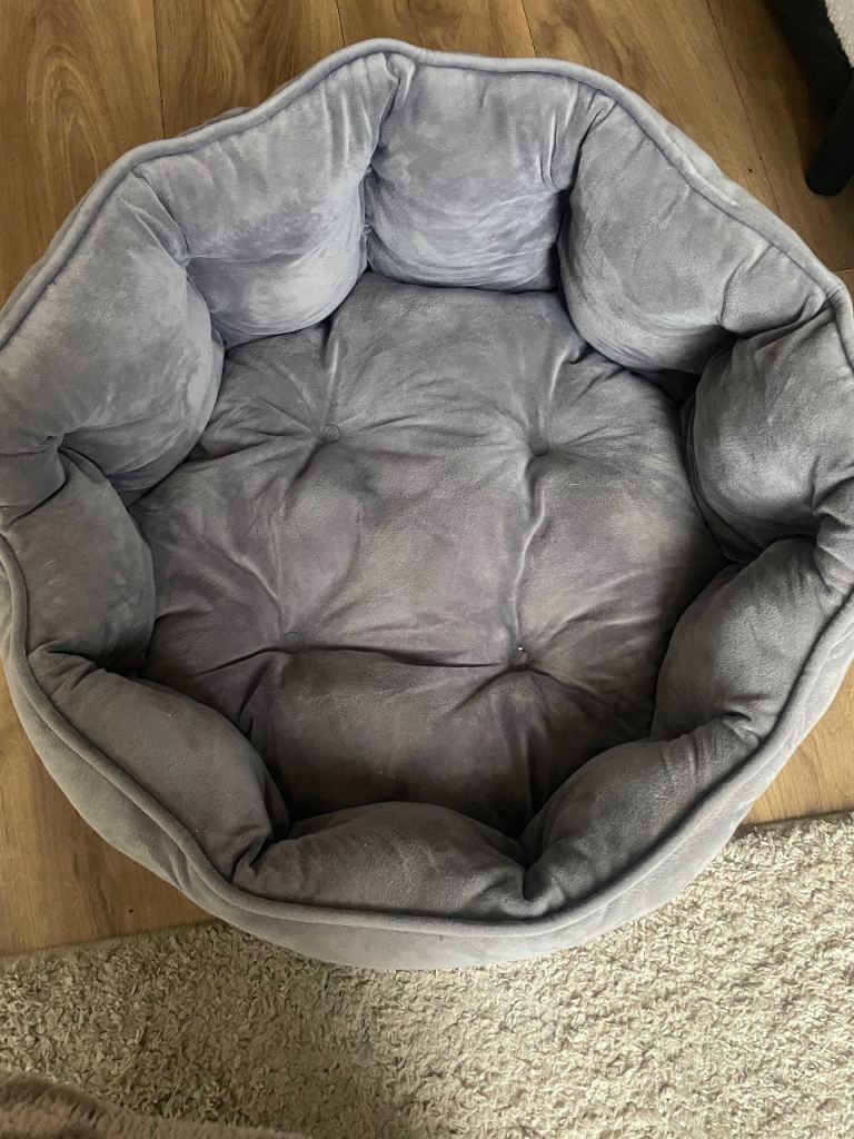 Dogs bed 