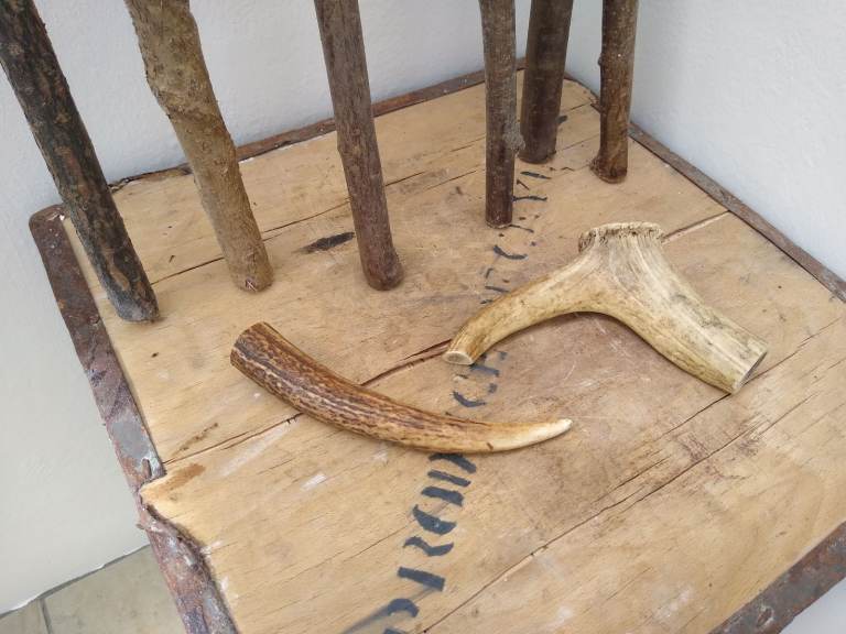 Stick dressing items - job lot. 6 sticks & 2 horns / antlers.
