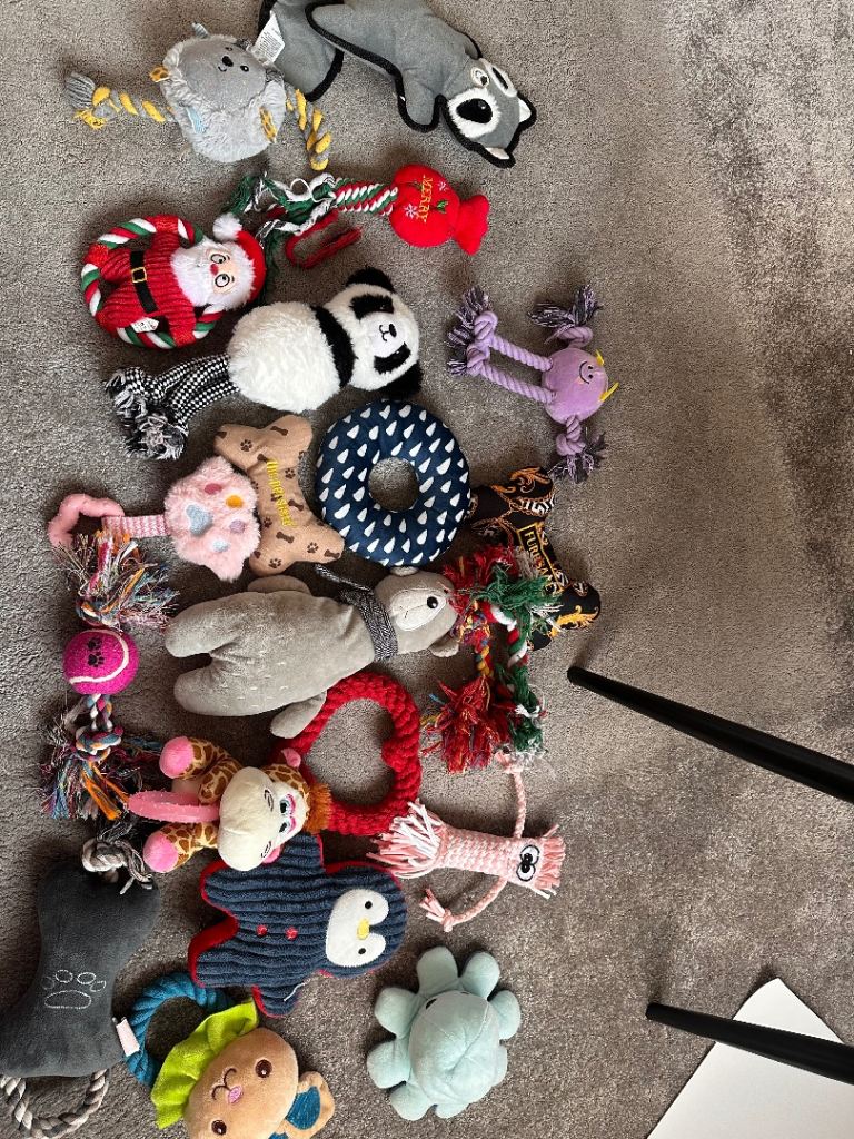 Free dog toys