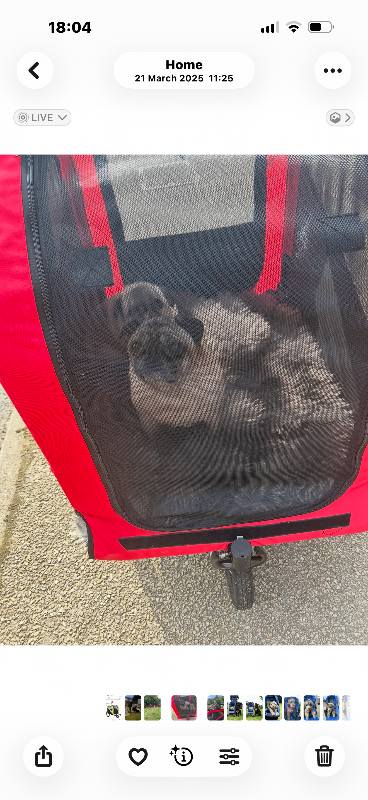 Red Pet Bike Trailer – Good Condition 