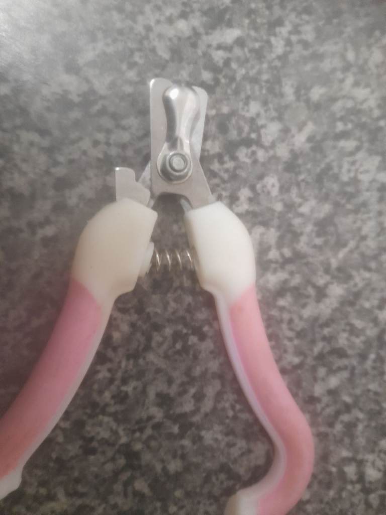 Small dog clips for nails