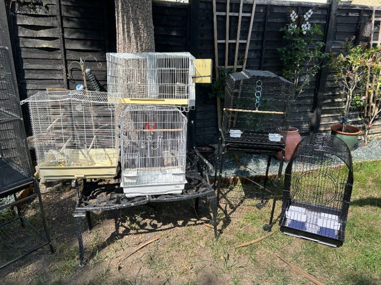Bird cages various sizes