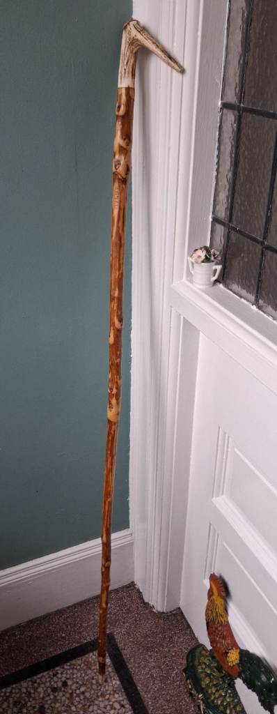 Shepherds Thumb Stick