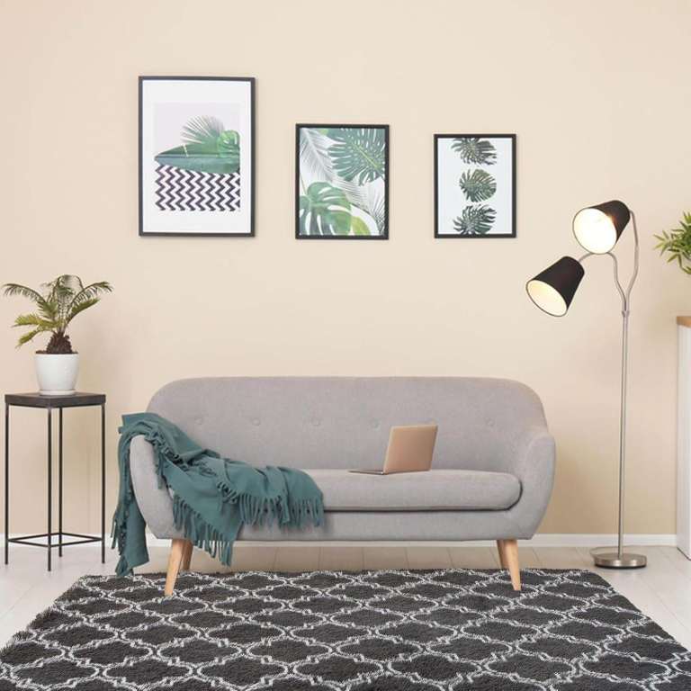 Black with Greyish White Fluffy Soft Rug Stain Resistant with Anti Slip Backing (120x180 cm)