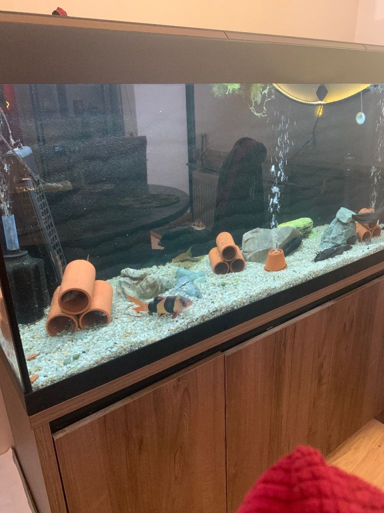Large Aquarium Fish Tank with Cabinet