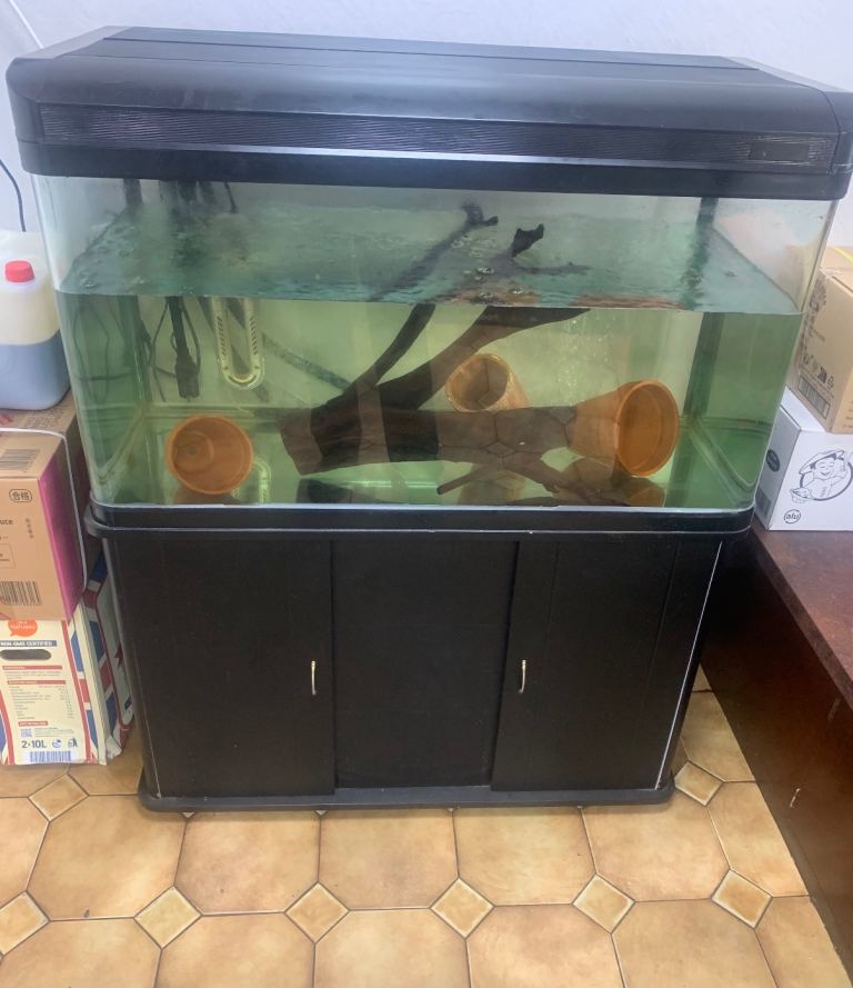 Fish tank with cabinet 