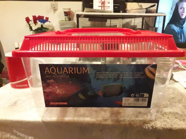 Small fish tank 