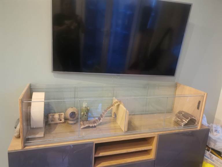 Gerbil tank and accessories 