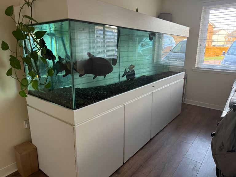 XL Fish Tank