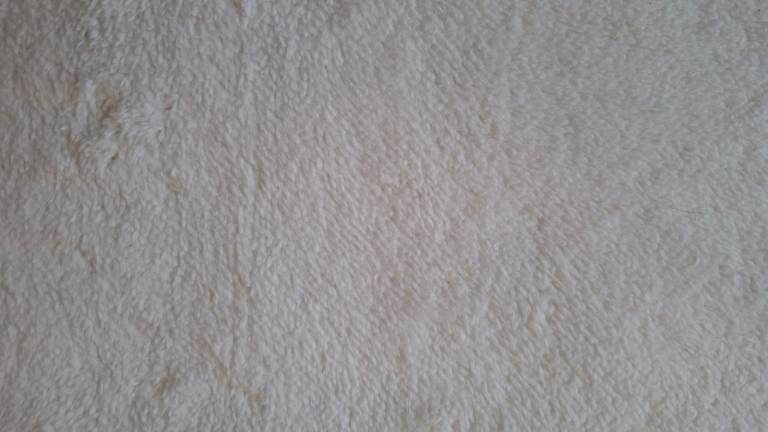 Foldable Pet Carrier Bag – Black (New, without tag)