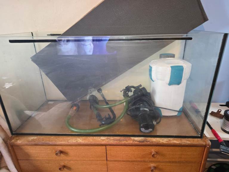 Marine fish tank
