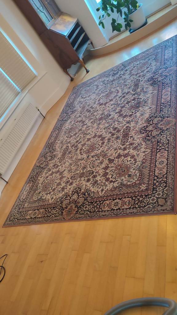 Pure Woollen Rug - Free