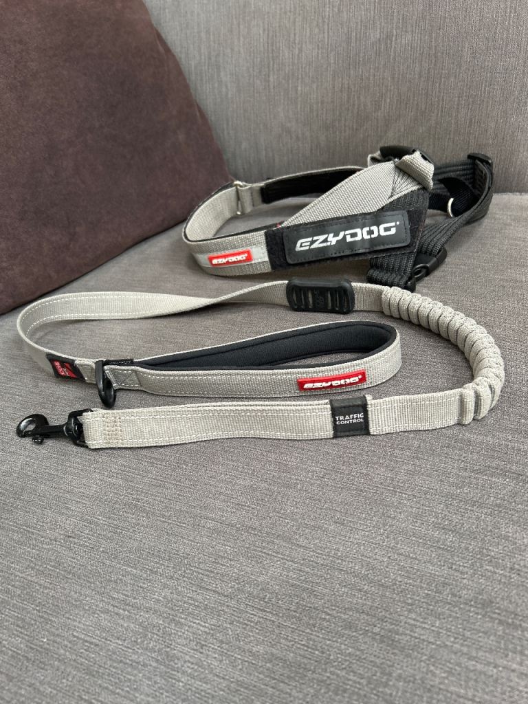 Ezy dog lead and harness 
