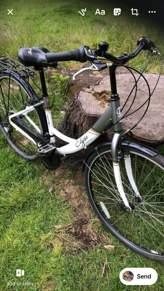 Ladies cheap serviced commuting /moutain bikes