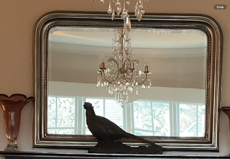 Large over mantle mirror 