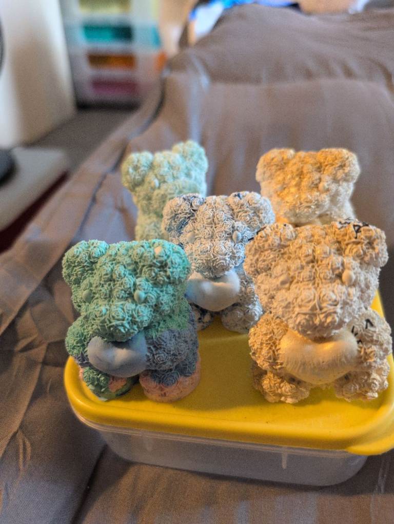 5 home made plaster bears the