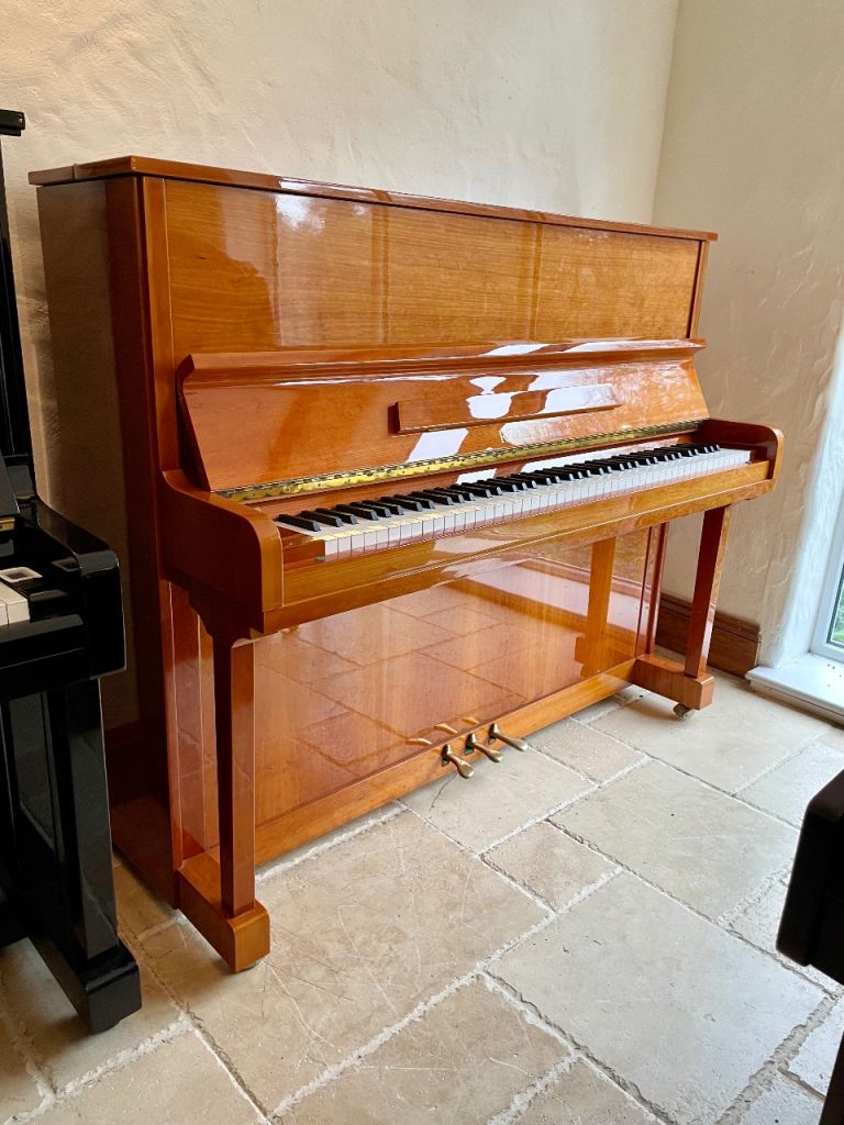 Reisbach upright piano includes delivery & warranty 