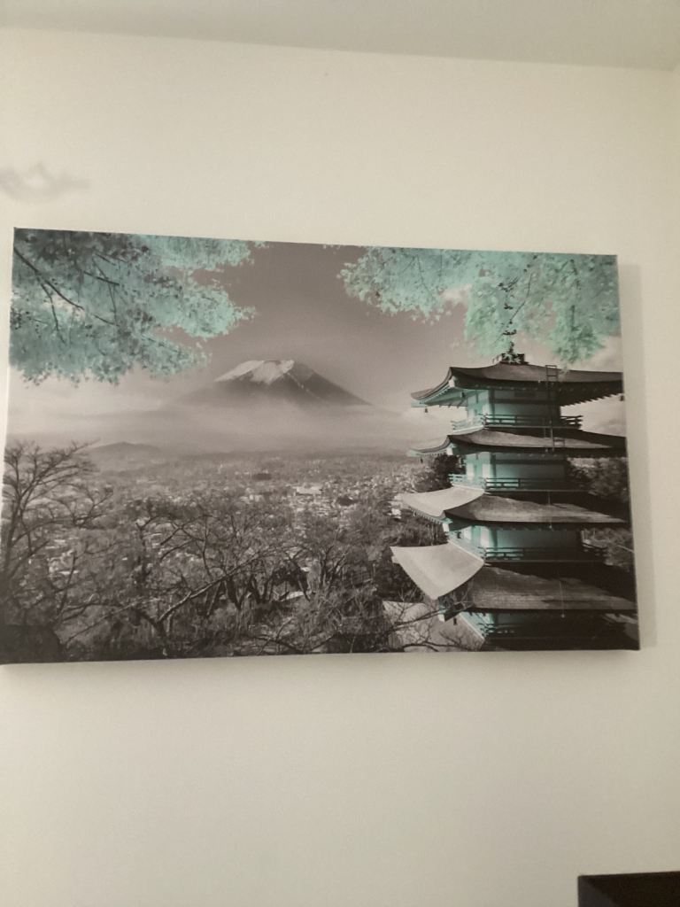 CANVASES