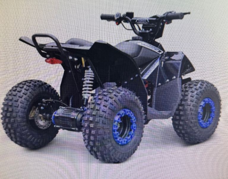 Renegade 1200w 48v 20Ah electric kids quad bike