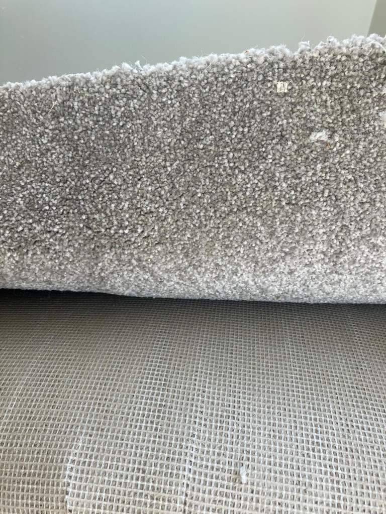 Plain Grey Carpet 