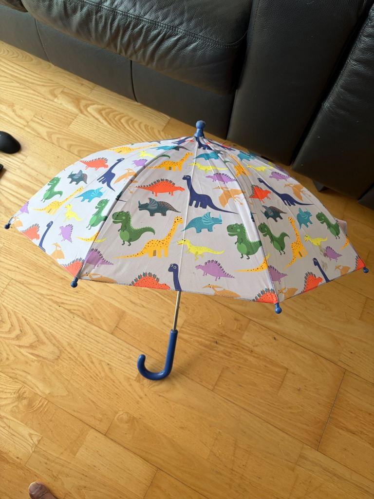 Kids Umbrella Dinosaur Printing