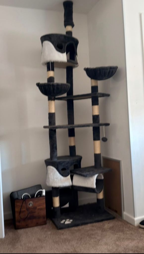 Cat scratch post 