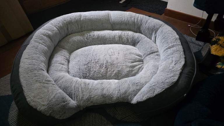Dog bed