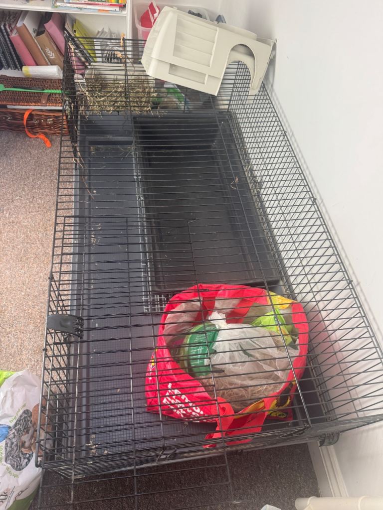 Rabbit cages 