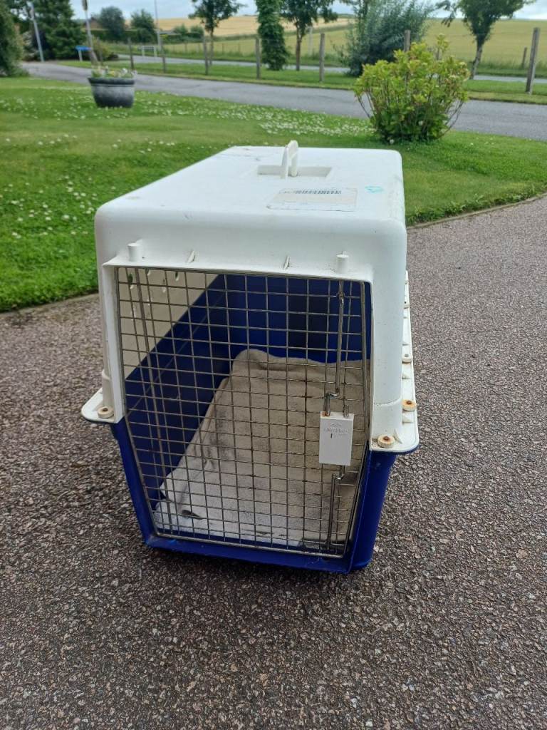 Transport Pet Carrier