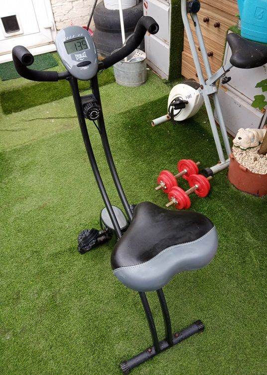 Everlast EV410 Folding Magnetic Exercise Bike Machine. Bicycle trainer